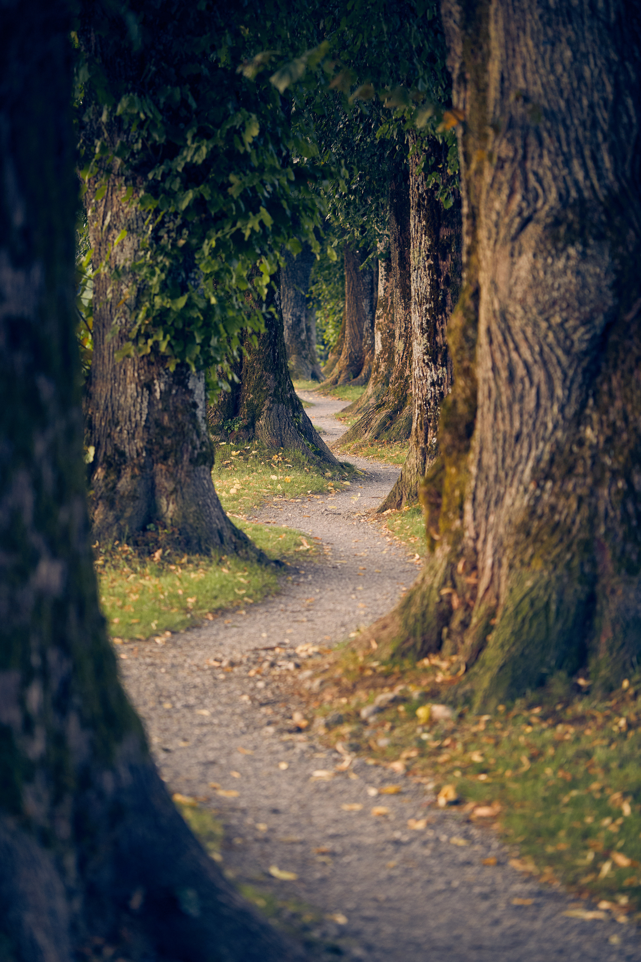 Steindlweg Holzkirchen 0298